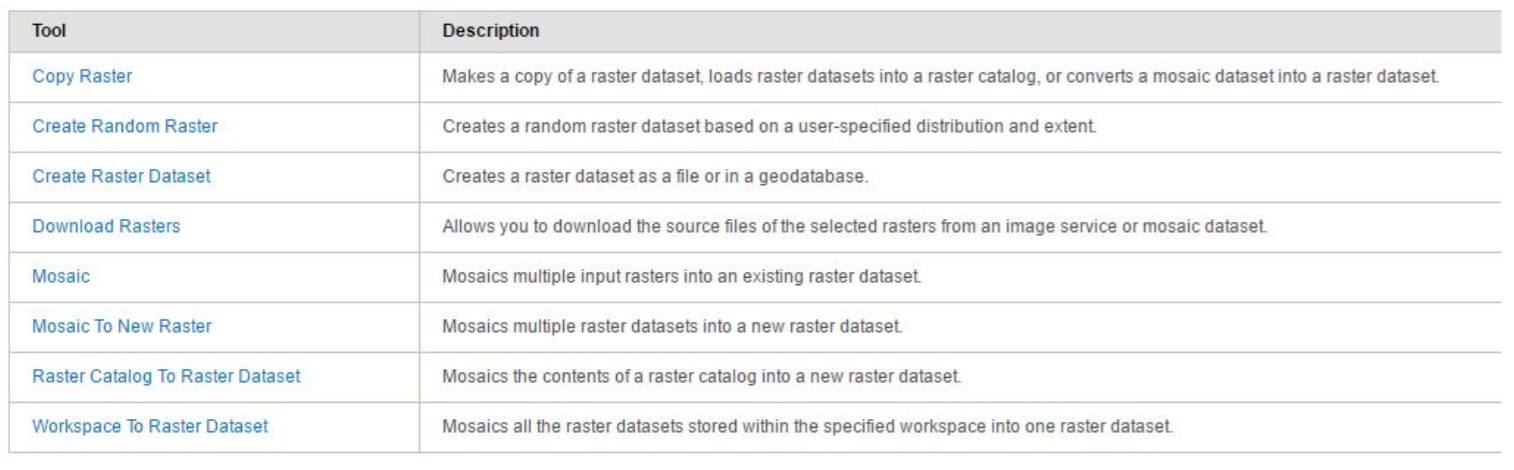 Raster Dataset