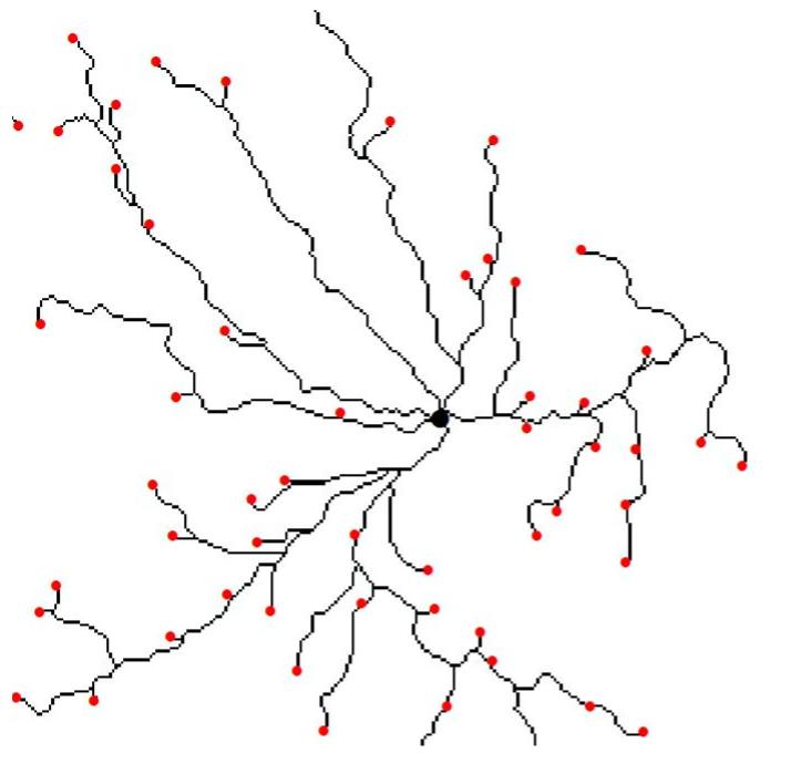 Cost Path